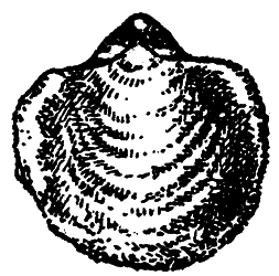 Путешествие в прошлое - i_006.png