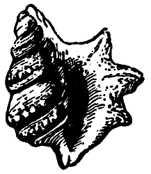 Путешествие в прошлое - i_009.png