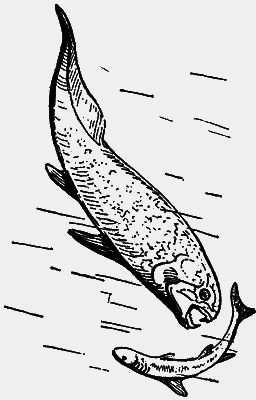 Путешествие в прошлое - i_018.png