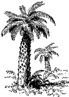 Путешествие в прошлое - i_028.png