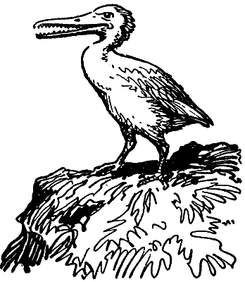 Путешествие в прошлое - i_043.png