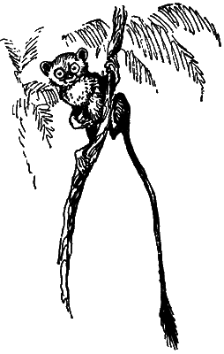 Путешествие в прошлое - i_045.png