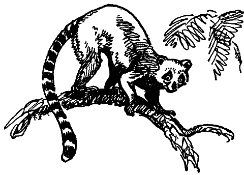 Путешествие в прошлое - i_046.png