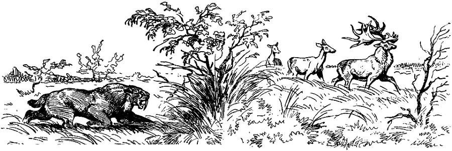 Путешествие в прошлое - i_050.png