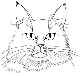 Мейн кун - _03.png