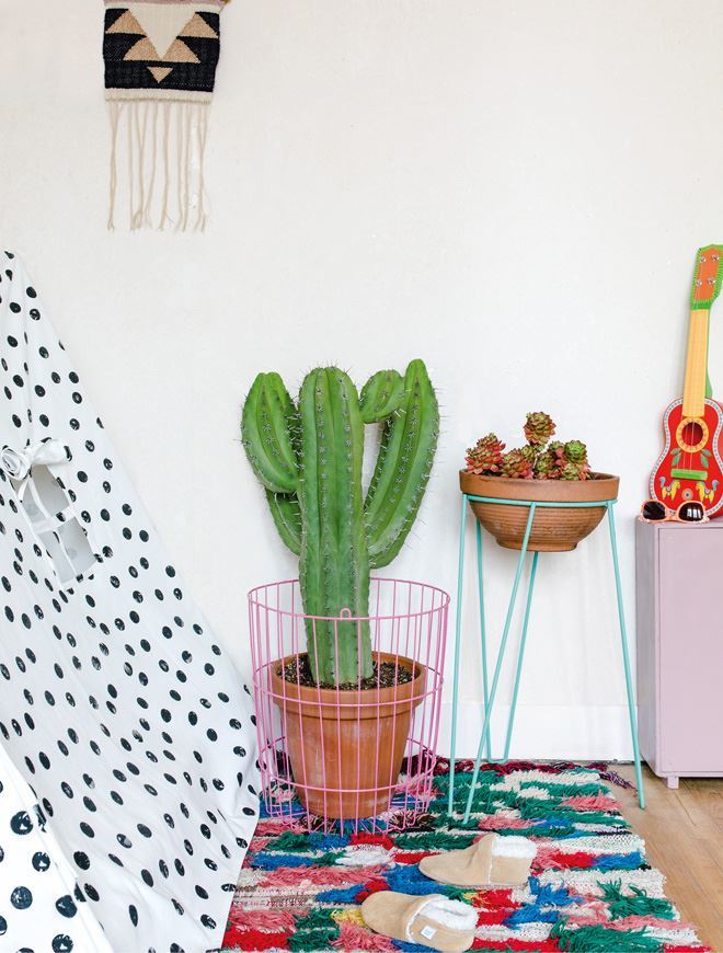 Urban Jungle. Как создать уютный интерьер с помощью растений - i_001.jpg