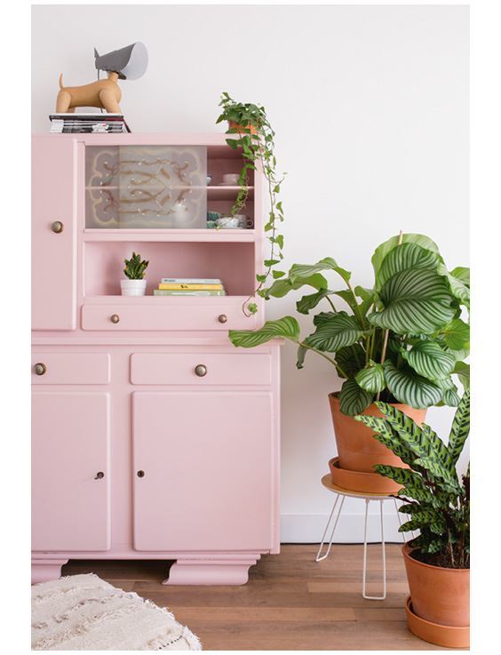 Urban Jungle. Как создать уютный интерьер с помощью растений - i_005.jpg