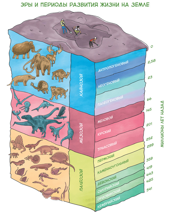 Динозавры и другие пресмыкающиеся - i_011.jpg