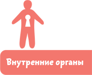 Как устроен человек - i_006.png