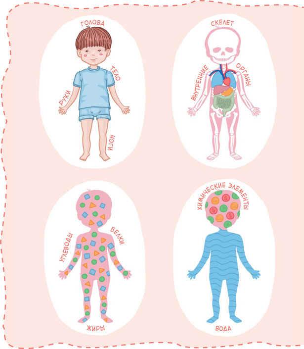 Как устроен человек - i_008.jpg