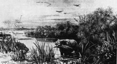 Неведомая Африка - any2fbimgloader21.jpg