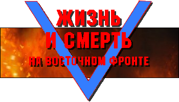 Откровения танкового генерала СС - i_001.png