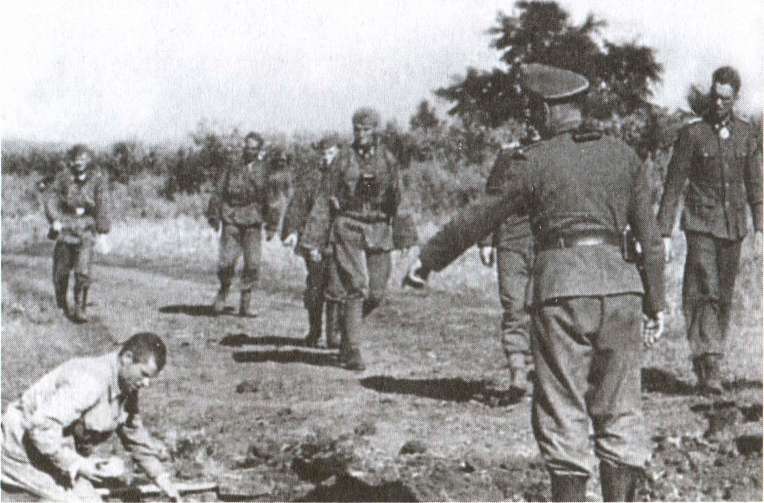 Откровения танкового генерала СС - i_013.jpg