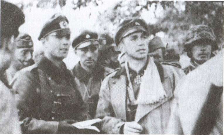 Откровения танкового генерала СС - i_015.jpg