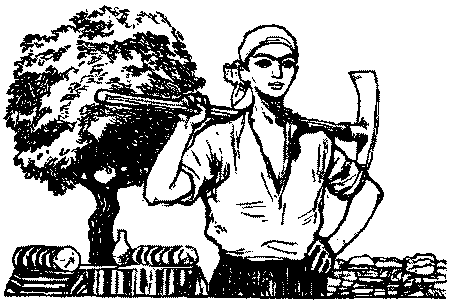 Неугомонный Носир - i_002.png