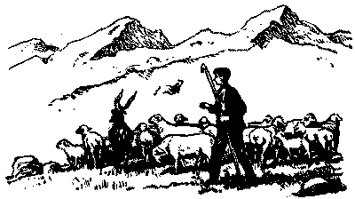 Неугомонный Носир - i_006.png