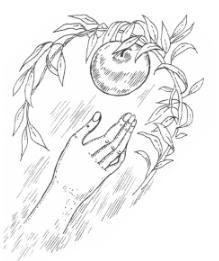 Древняя история секса в мифах и легендах - img5517.jpg