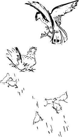 Лесные сторожа<br />(Повесть и рассказы) - i_033.jpg