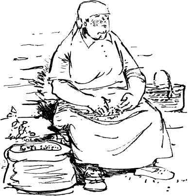 Лесные сторожа<br />(Повесть и рассказы) - i_042.jpg