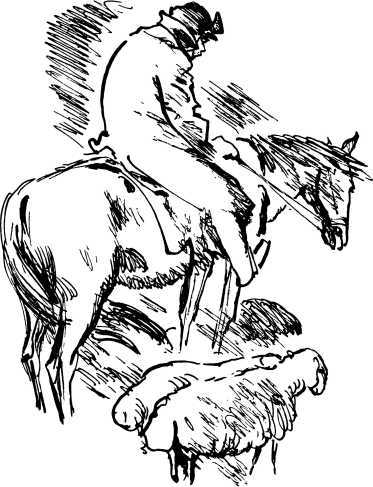 Лесные сторожа<br />(Повесть и рассказы) - i_052.jpg