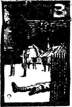 Пламя в джунглях - img_13.jpeg