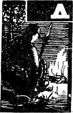 Пламя в джунглях - img_14.jpeg