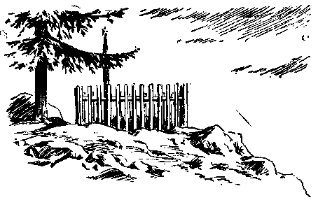 У самой границы - pic_11.png