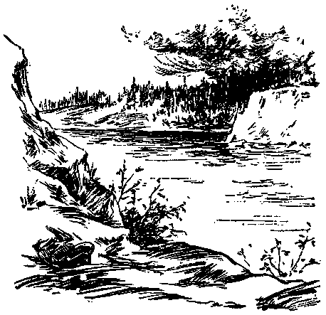 У самой границы - pic_3.png