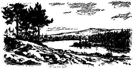 У самой границы - pic_4.png