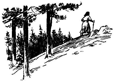 У самой границы - pic_20.png