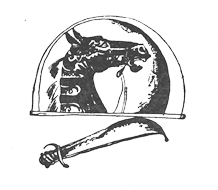 Радж Сингх - i_009.png