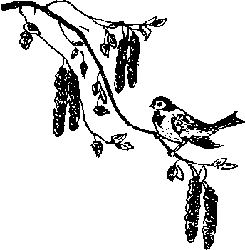 Я вас жду - i_004.png