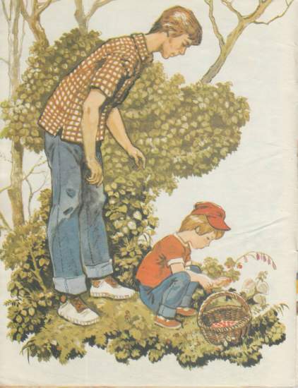 Красный, желтый, полосатый - i_001.jpg