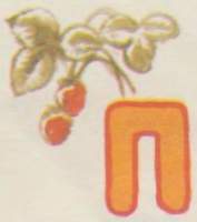 Красный, желтый, полосатый - i_002.jpg