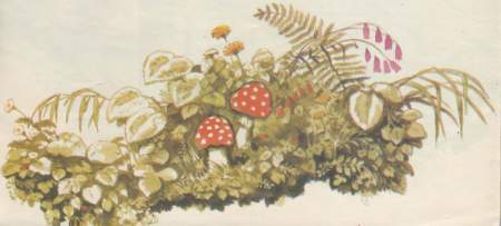 Красный, желтый, полосатый - i_003.jpg