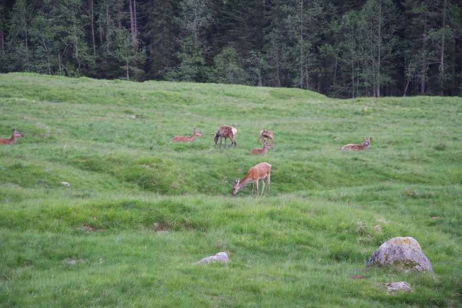 Охрана окружающей среды на примере государственного управления водными ресурсами - _4.jpg