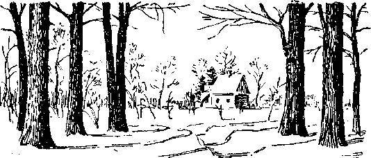 Мелихово. Музей-усадьба А.П.Чехова - _2.jpg