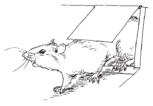 Загадки и тайны психики - i_012.png