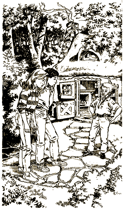 Похищены! - i_009.png