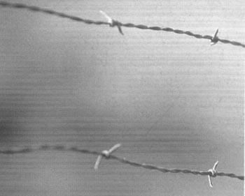 Профессиональные приемы вождения кроссового мотоцикла и эндуро (ЛП) - i_003.jpg