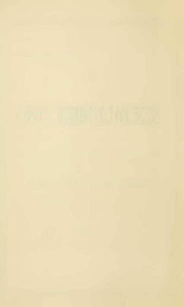 Всевидящее око. Из быта русской армии (СИ) - _4.jpg