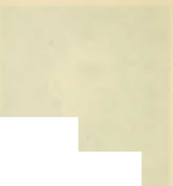 Всевидящее око. Из быта русской армии (СИ) - _6.jpg