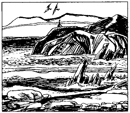 Опасности диких стран - pic_9.png