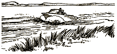 Ты — миллионер - i_028.png