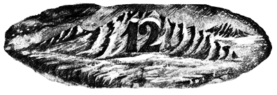 Дети Ноя - i_033.png