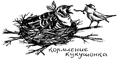 Я познаю мир. Поведение животных - i_038.png