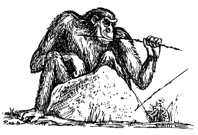 Я познаю мир. Поведение животных - i_047.png