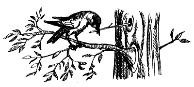 Я познаю мир. Поведение животных - i_049.png