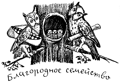 Я познаю мир. Поведение животных - i_066.png