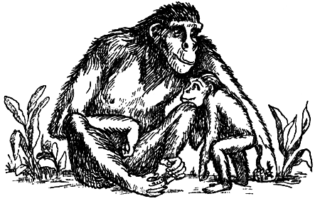 Я познаю мир. Поведение животных - i_082.png